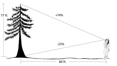 Field Technique Tips For Measuring Tree Height Forest