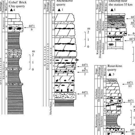 Stratigraphic Position Of Occurrences In The Sections Of The Gzhel