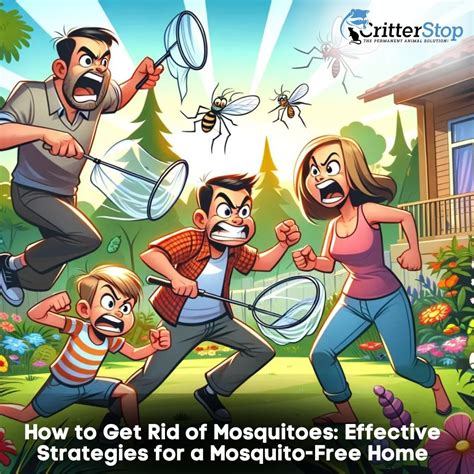 How To Get Rid Of Mosquitoes Critter Stop