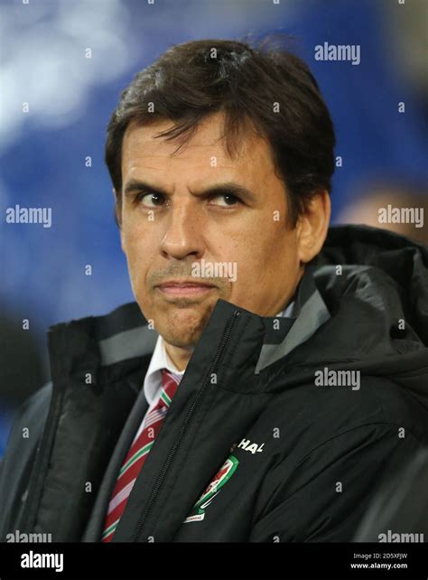 Wales' manager Chris Coleman Stock Photo - Alamy