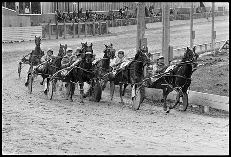 Harness Racing Miscellaneous Photographs