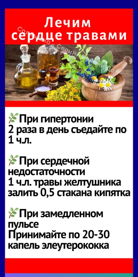 Самый полезный чай для сердца — Своими руками… Да!
