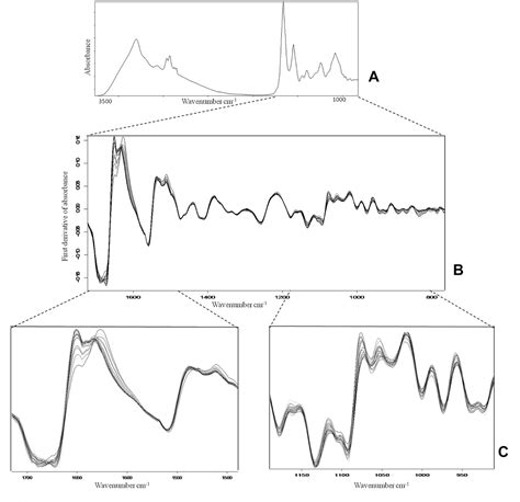 Figure 1 From Evaluation Of Fourier Transform Infrared Ft Ir Spectroscopy And Chemometrics As