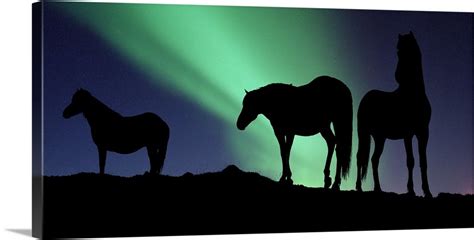 Silhouette Of Horses At Dusk Iceland Wall Art Canvas Prints Framed