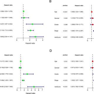 Independent Prognostic Analysis For Survival Outcomes Of Renal