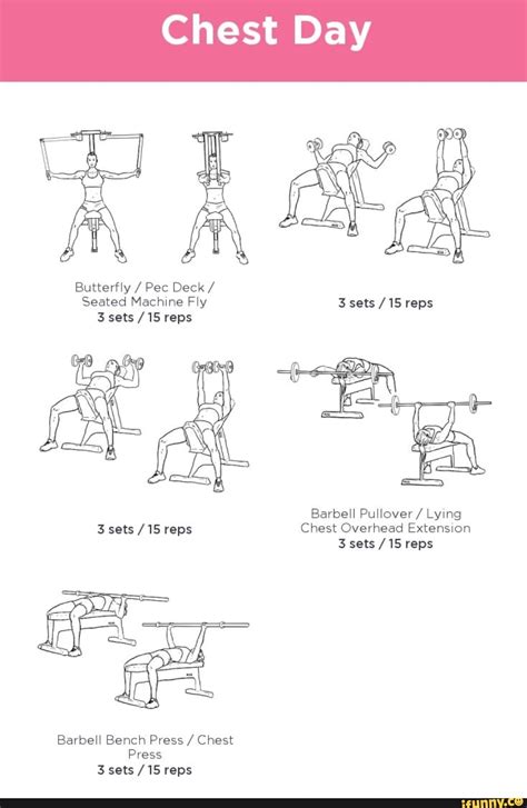 Chest Day Butterfly Pec Deck Seated Machine Fly 3 Sets 15 Reps