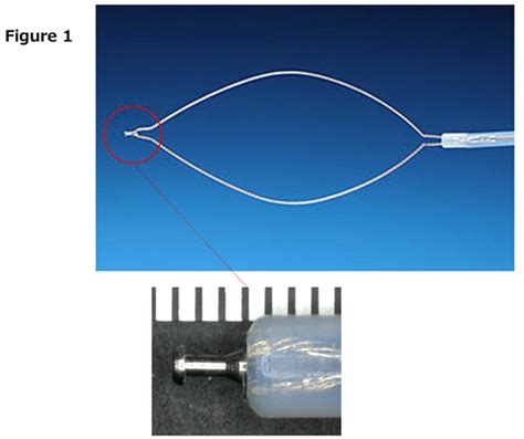 Mo1322 Hybrid Endoscopic Submucosal Dissection Using Novel 2 In 1 Device For Early Gastric