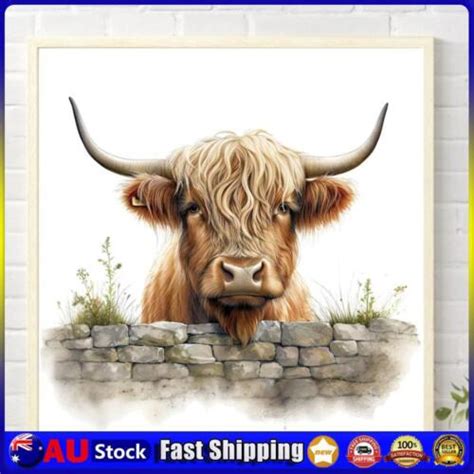 Au D Diy Full Round Drill Diamond Painting Highland Baby Cow Kit Home