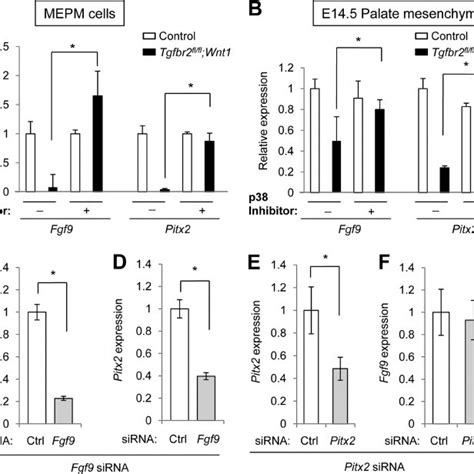 Fgf9 Regulates The Gene Expression Of Pitx2 A Quantitative RT PCR