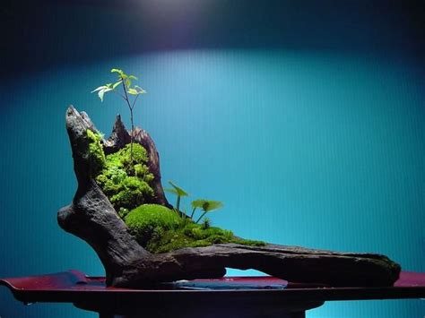 Pin By Killok On In Miniature Zen Garden Japanese Garden