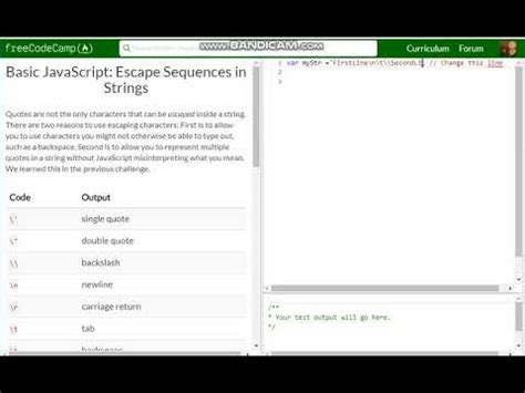 Basic JavaScript Escape Sequences In Strings Free Code Camp Dani YouTube