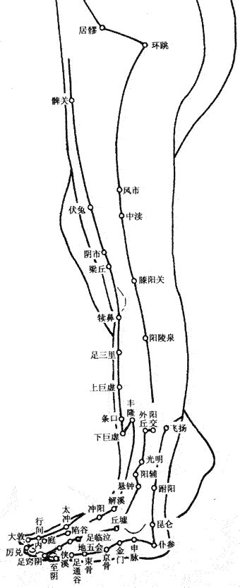 背俞穴作用与位置