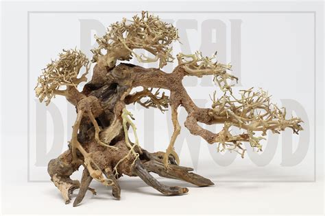 Bonsai Driftwood Is All Natural Driftwood That Is Handcrafted By Our