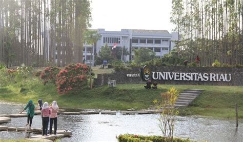 10 Jurusan Sepi Peminat Universitas Riau 2023 Okezone Edukasi