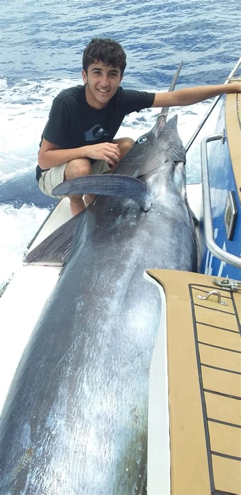 marlin black marlin blue marlin pêche au gros ile maurice