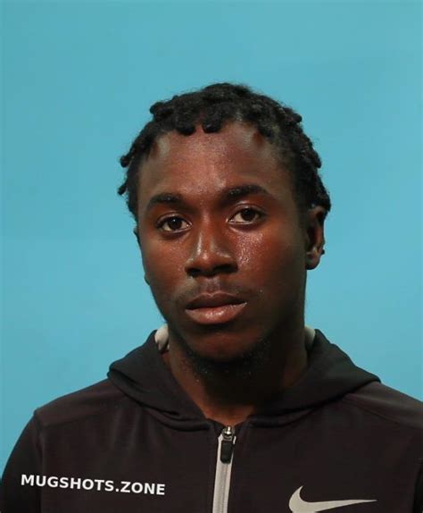 Fleming Anthony James 04 11 2024 Brazoria County Mugshots Zone