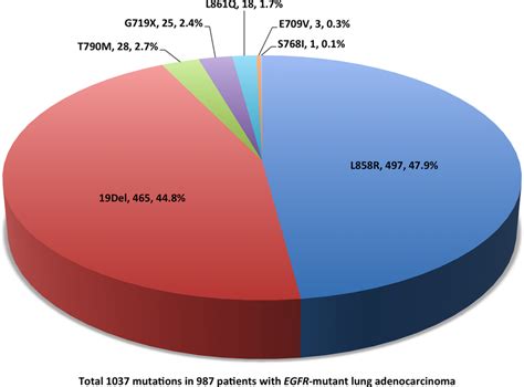 Epidermal Growth Factor Receptor EGFR Mutation Spectrum Among