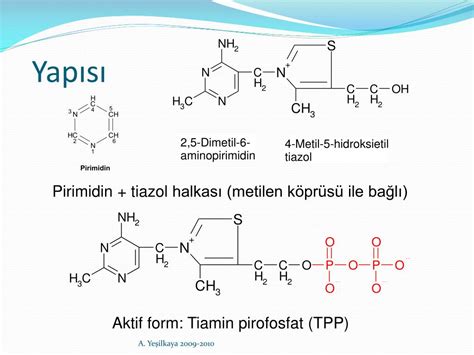 PPT Vitaminlerin Ortak Özellikleri ve Sınıflandırılması PowerPoint