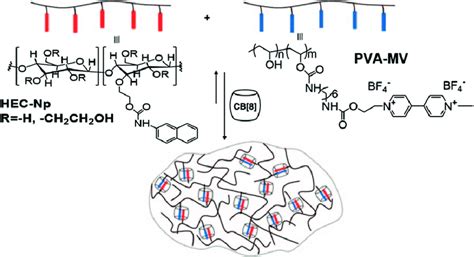 6 Schematic Representation Of The Preparation Of Supramolecular