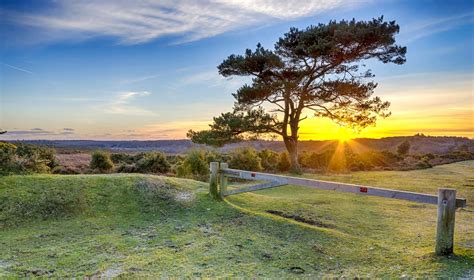 forest national park