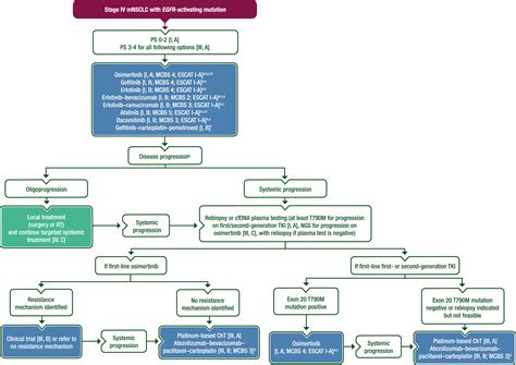 Oncogene Addicted Metastatic Non Small Cell Lung Cancer ESMO Clinical