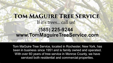 Tom Maguire Tree Service Rochester Ny Tree Service Youtube