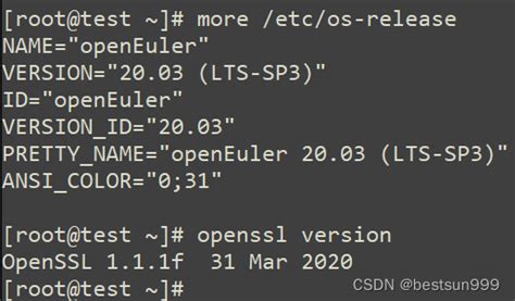 Openeuler Ssl Openssl W Openeuler Ssl Csdn