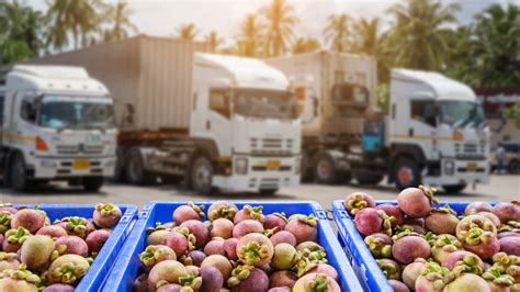 New Study Shows How Much Food Transport Contributes To Emissions