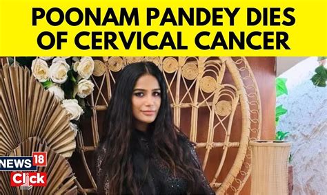 32 Year Old Model And Actor Poonam Pandey Passes Away Poonam Pandey Death News News18 N18v