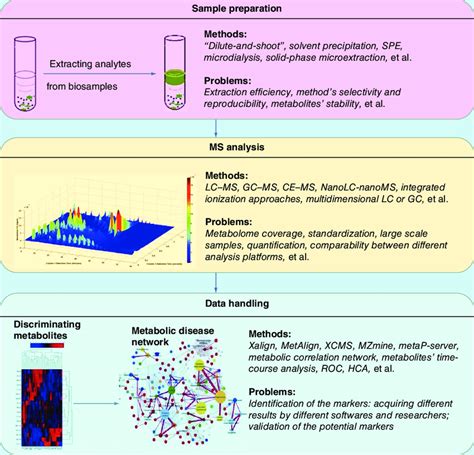 Summary Of The Three Main Ms Based Metabolomics Steps Download