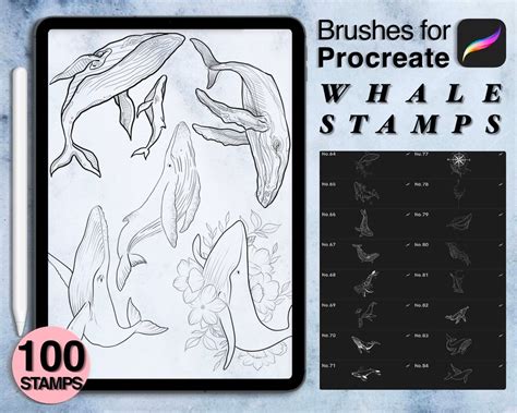 100 Procreate Whale Stamps Procreate Brushes