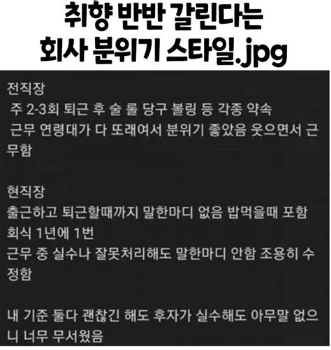 너무 극과극인데 에누리 쇼핑지식 자유게시판