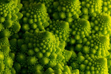 Broccoli Fractal By Dinodude411 On Deviantart