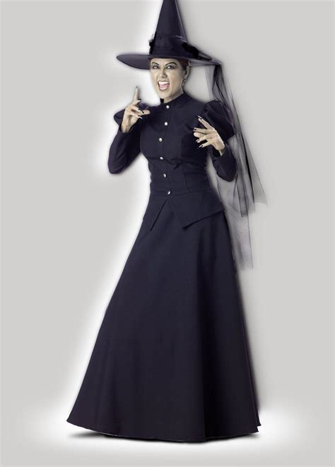 Wicked Witch Of The West Costume Wonderland