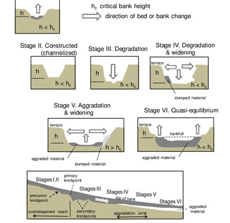 Illustration Of A Six Stage Channel Evolution Model Illustrations Of