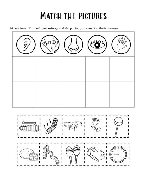 5 Senses Cut And Paste Worksheets