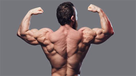 The 23 Best Back Exercises For Strength And Muscle Gain Barbend