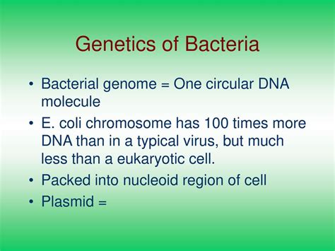 Genetics Of Bacteria Bacterial Genome Ppt Download