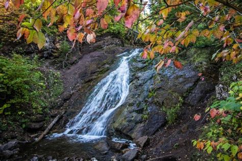 15 Magnificent Waterfalls in Michigan (That You MUST Visit!)