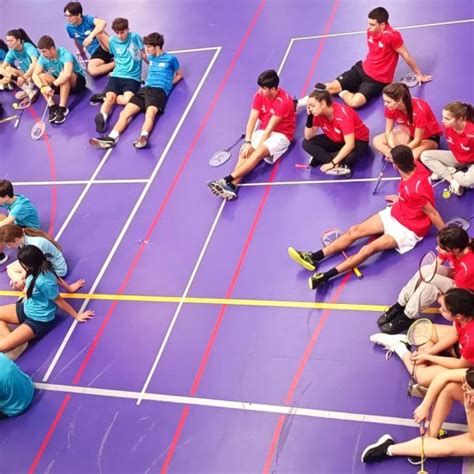 Torneio De Badminton Do Desporto Escolar Agrupamento De Escolas De Aveiro