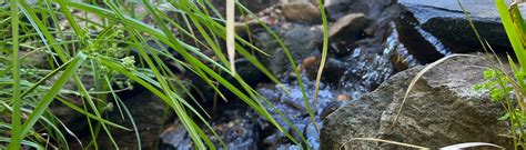 Aquascaping And Water Features Canberra