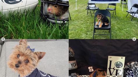 'Pawsome' Penn State pet photos | Penn State University