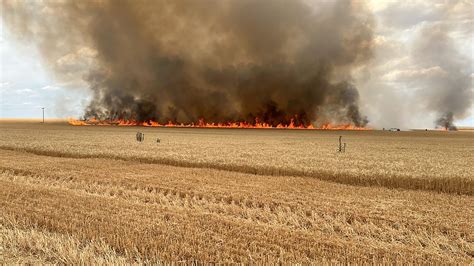 Ante La Llegada Del Verano Entre Ríos Prohibió Las Quemas De Campos Hasta Febrero Infobae