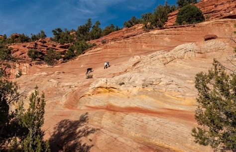 Kanab Sand Caves Moqui Caverns Hike Hike Bike Travel