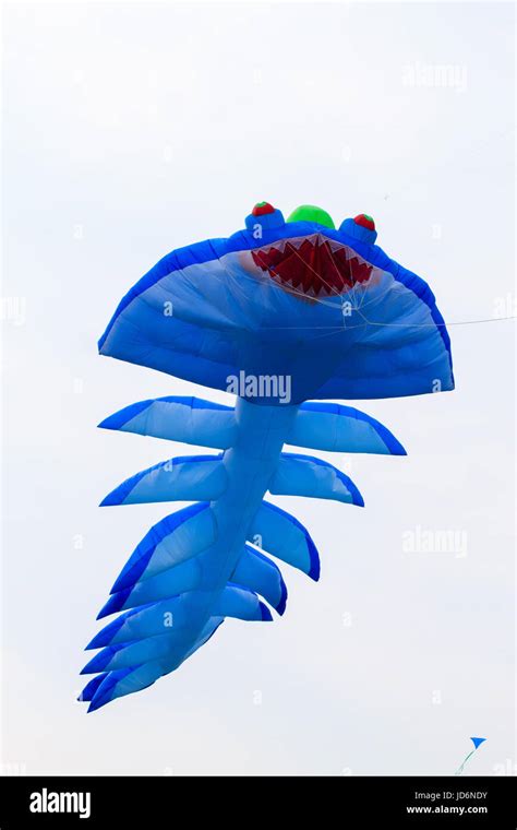 Blue kite that is flying. Blue fish kite Stock Photo - Alamy