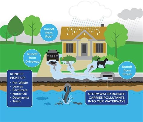 Stormwater Management Strategies Key To Urban Sustainability