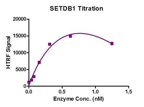 recombinant setdb protein united bio research