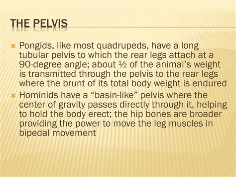 An Introduction to Primate Morphology - ppt download