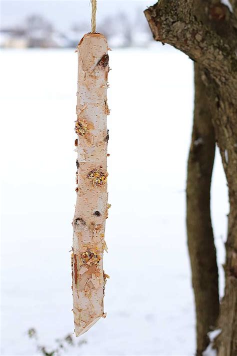 Easy DIY Log Bird Feeder | Winter DIY