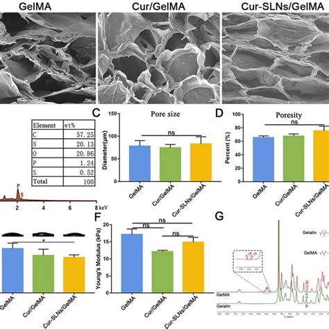 Characterization Of Cur Slns Gelma Hydrogel Scaffolds A Scanning